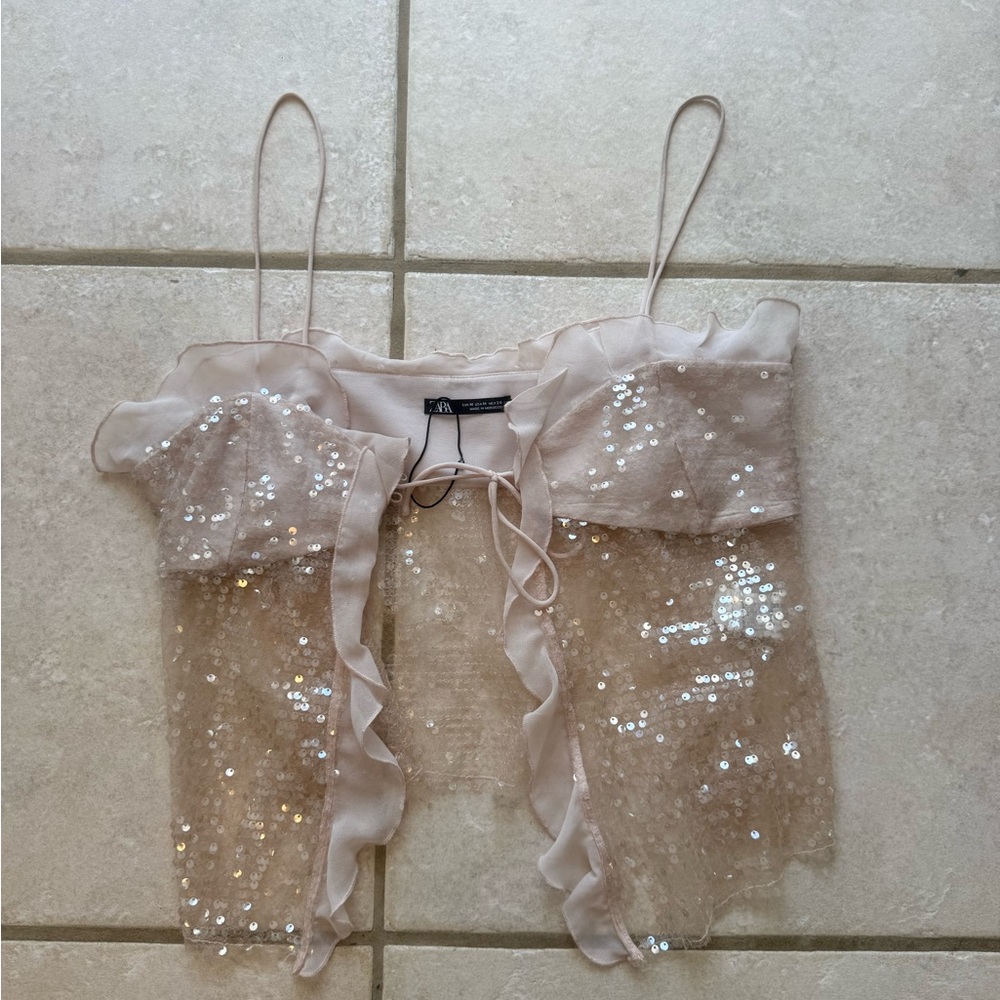 Zara Beige Sequin Top